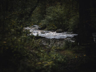 Ardennen
