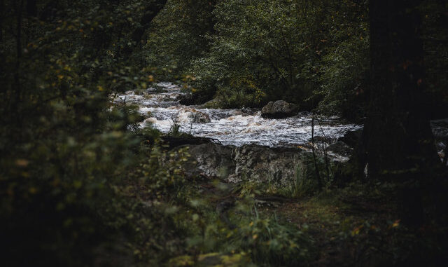 Ardennen