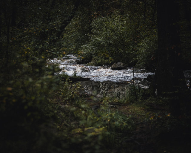 Ardennen